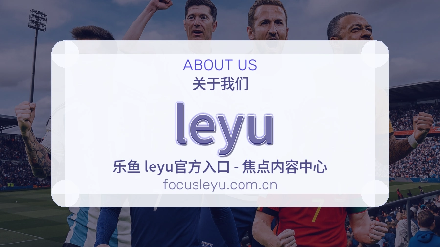leyu便捷访问服务说明